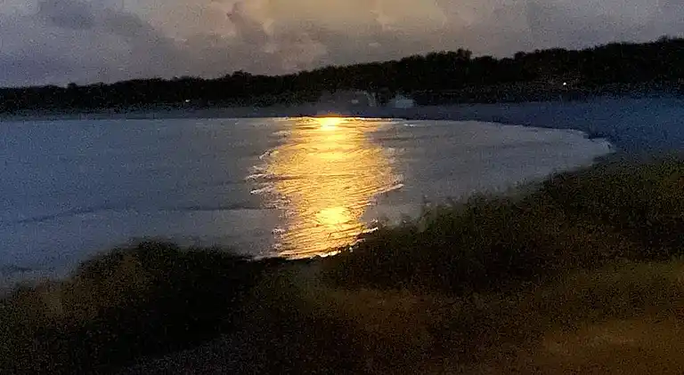 Panoramablick und Dänemarks bester Strand