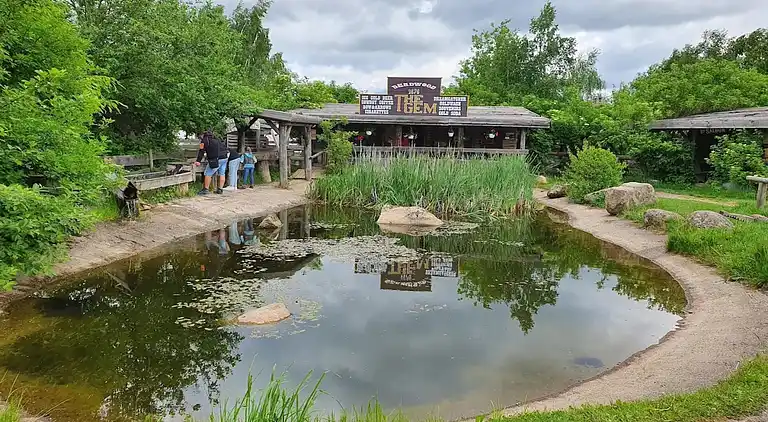 Holiday home in Hasselfelde