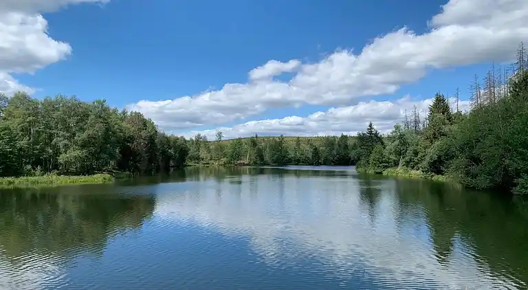Holiday home in Hasselfelde