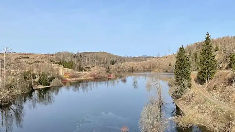 Holiday home in Hasselfelde