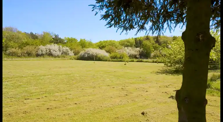 Lyxigt sommarhus på vacker skogsmark