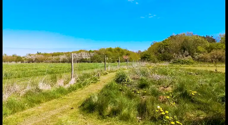 Lyxigt sommarhus på vacker skogsmark
