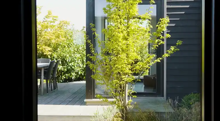 Lyxigt sommarhus på vacker skogsmark