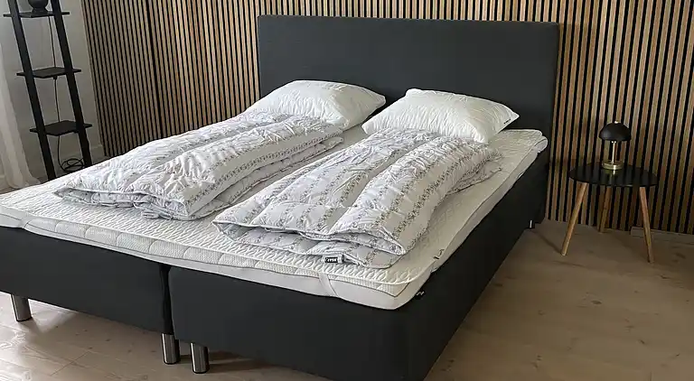 Luksuriøs landejendom midt i natur med welness