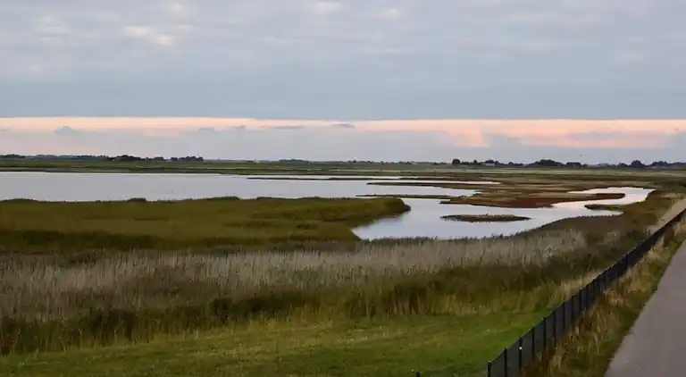 Sommerhus i Rosenkranz