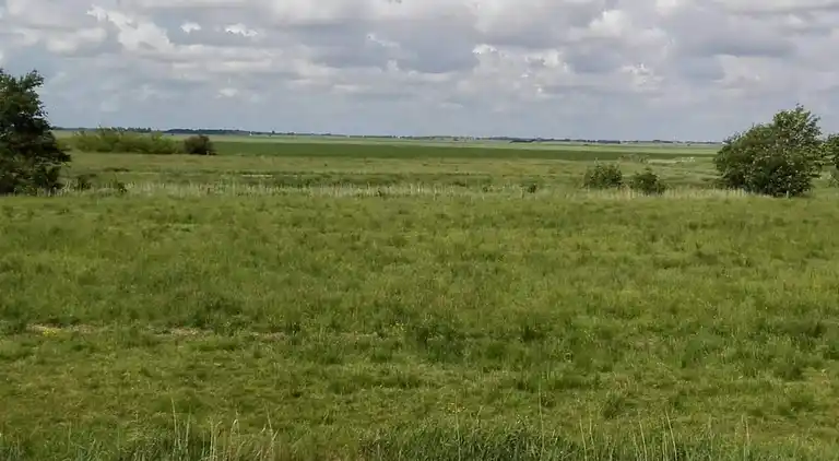 Sommerhus i Rosenkranz