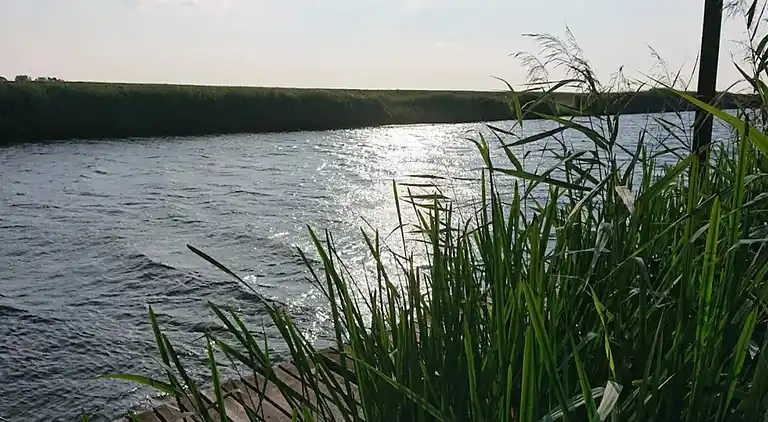 Sommerhus i Rosenkranz