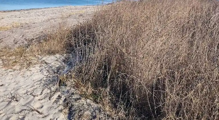 Sommerhus i Stoense Udflyttere