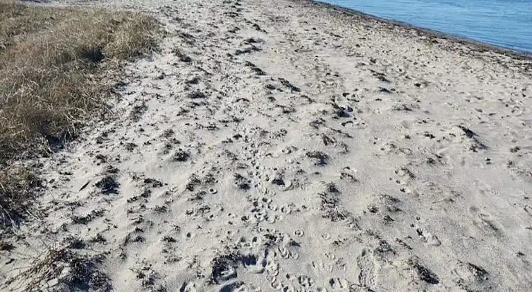 Sommerhus i Stoense Udflyttere