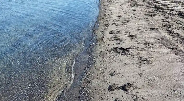 Sommerhus i Stoense Udflyttere