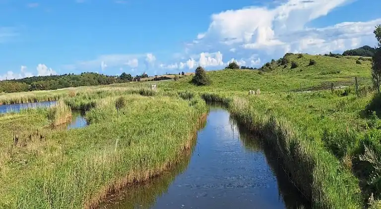 Semesterbostad vid Hejlsminde Strand