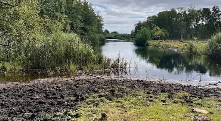 Semesterbostad vid Hejlsminde Strand