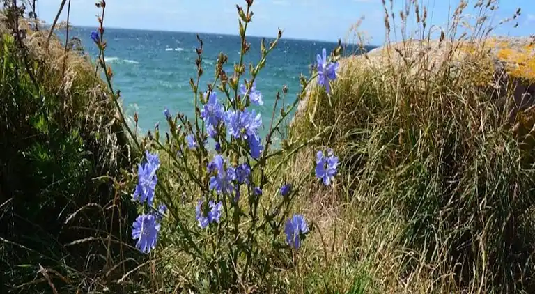 Holiday home in Ærøskøbing