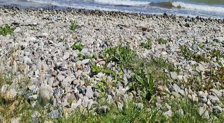 Sommerhus ved Flovt Strand
