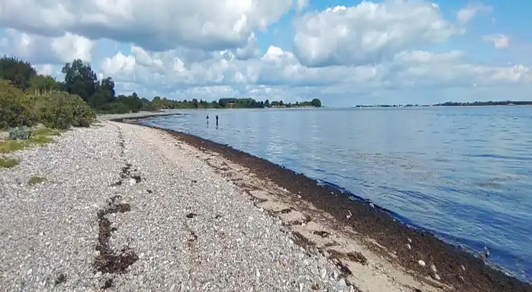 Sommerhus ved Flovt Strand