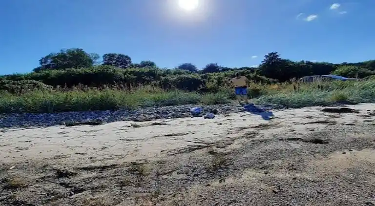 Sommerhus ved Flovt Strand