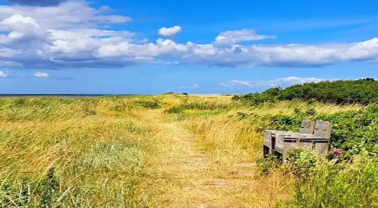 Sommerhus ved Flovt Strand