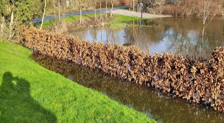 Holiday home in Ærøskøbing