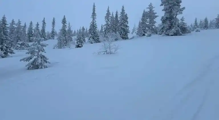 Holiday home in Malung NV