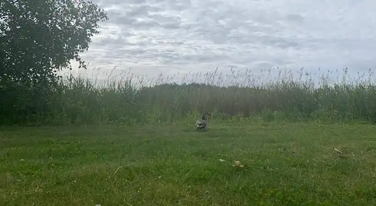 Feriebolig i Sölvesborg S