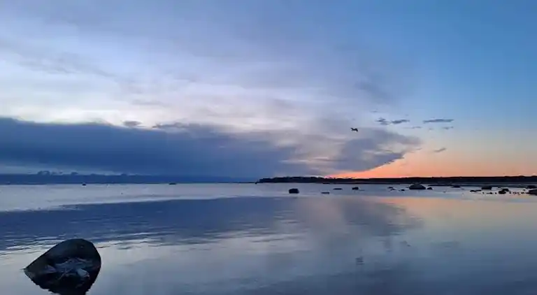 Feriebolig i Sölvesborg S