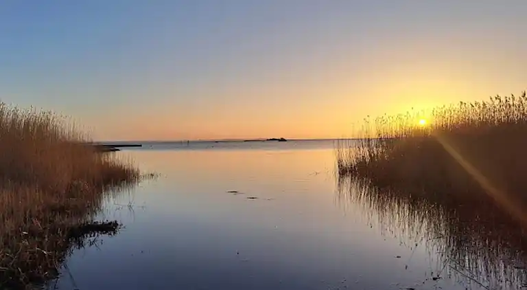 Feriebolig i Sölvesborg S