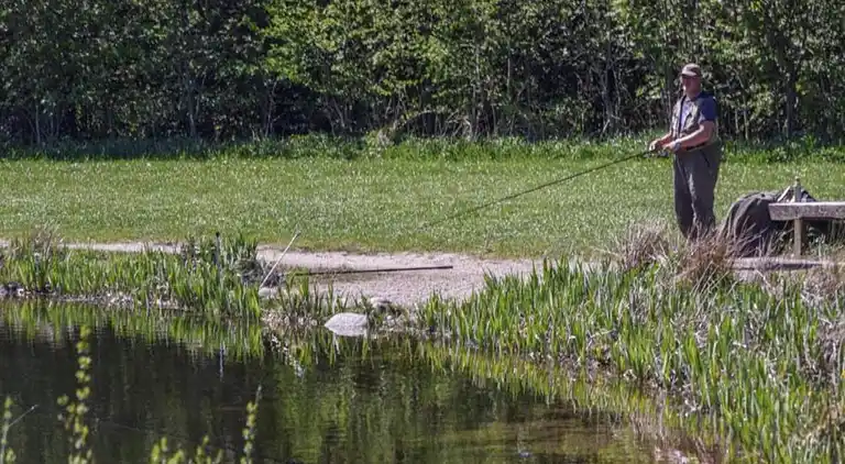 Sommerhus i Branderup J