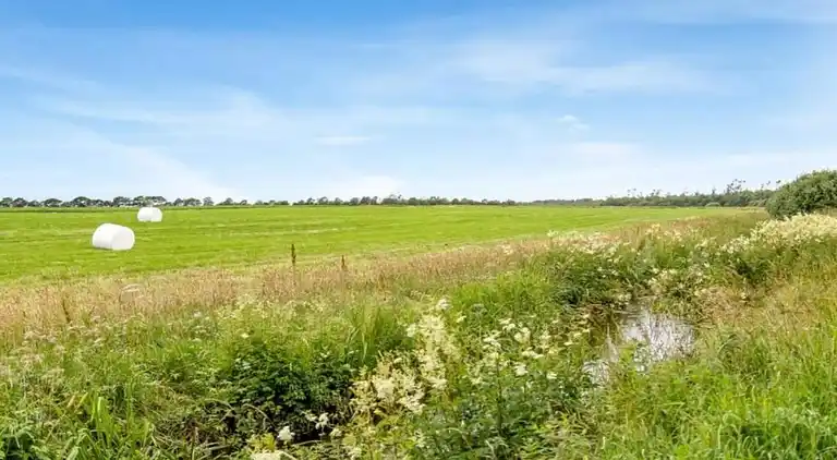 Sommerhus i Branderup J