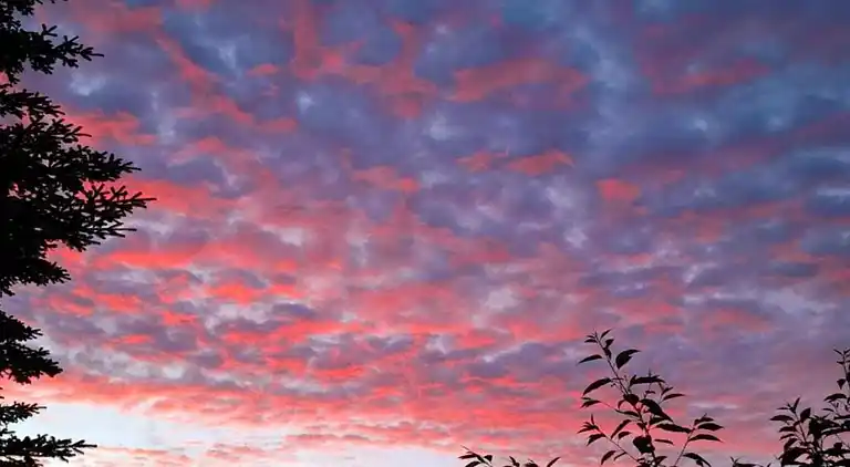 Sommerhus i Branderup J