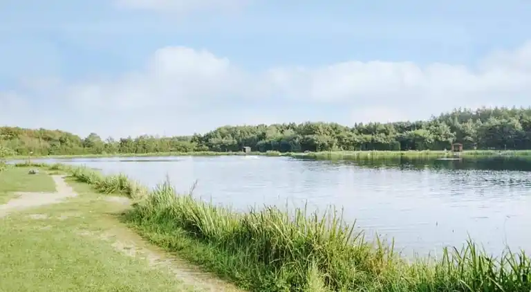 Sommerhus i Branderup J