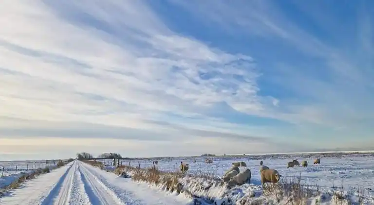 Sommerhus i Branderup J