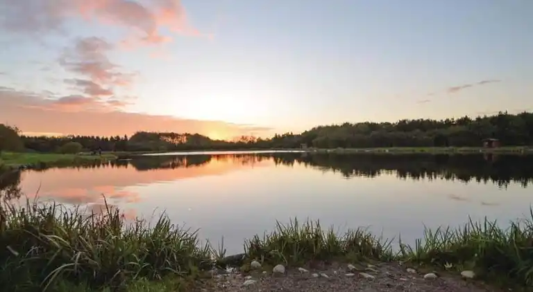 Sommerhus i Branderup J