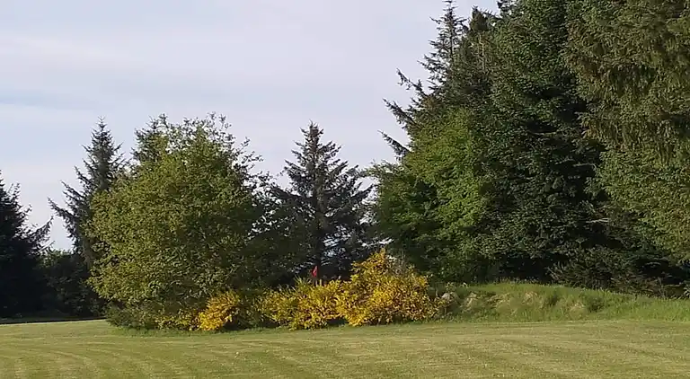 Sommerhus i Branderup J