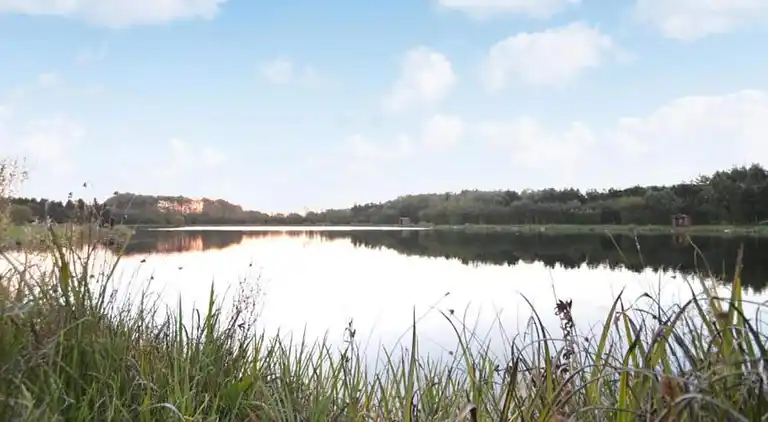 Sommerhus i Branderup J