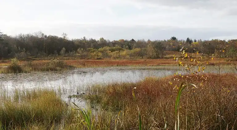 Holiday home in Kvie Sø