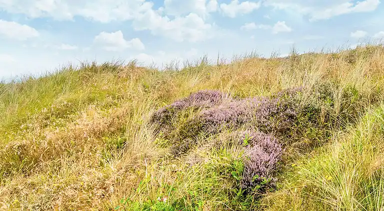 Semesterbostad vid Houvig Strand