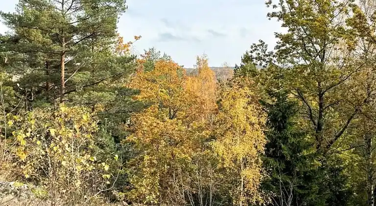 Holiday home in Åmål V