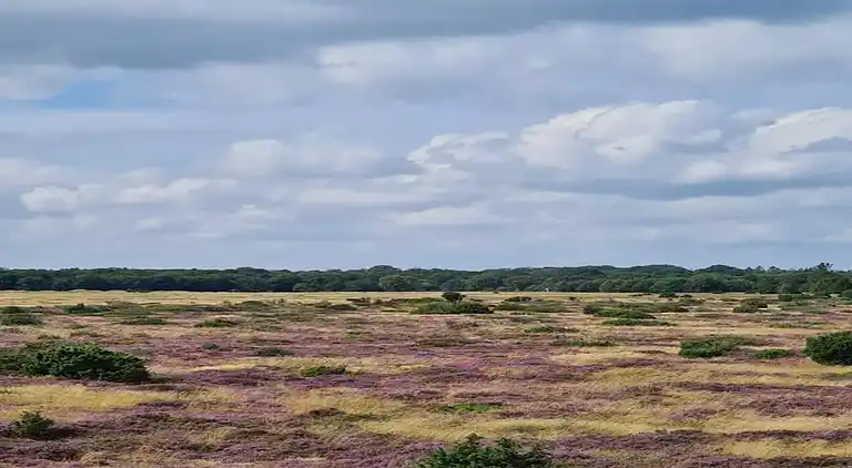 Sommerhus i Øster Hurup
