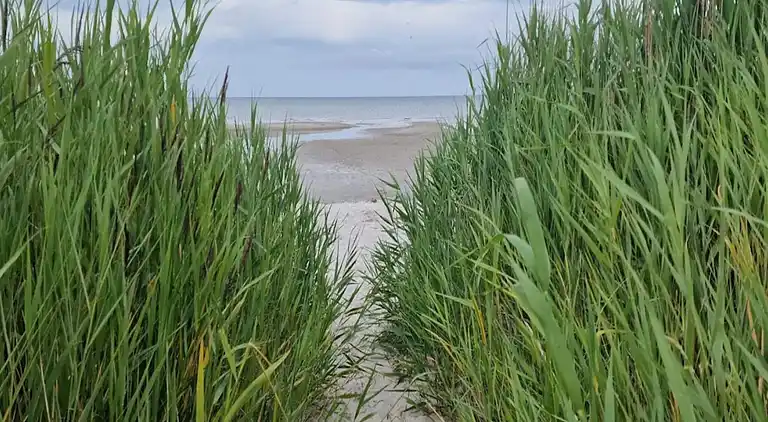 Sommerhus i Øster Hurup