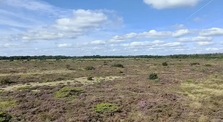 Sommerhus i Øster Hurup