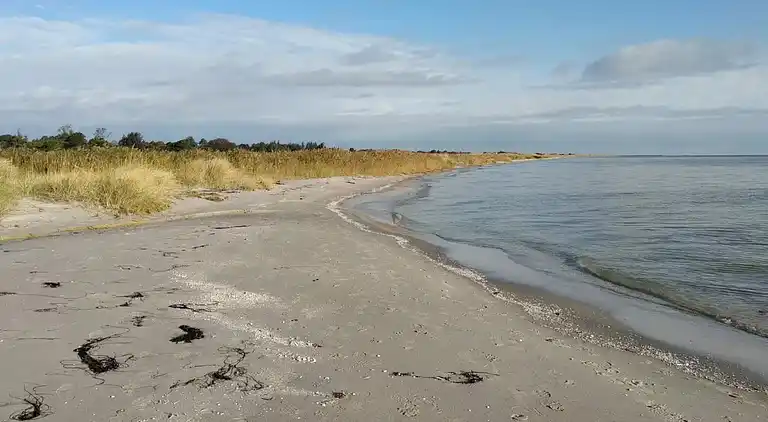 Sommerhus ved Helberskov Strand