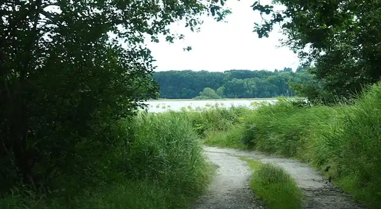Sommerhus ved Helberskov Strand