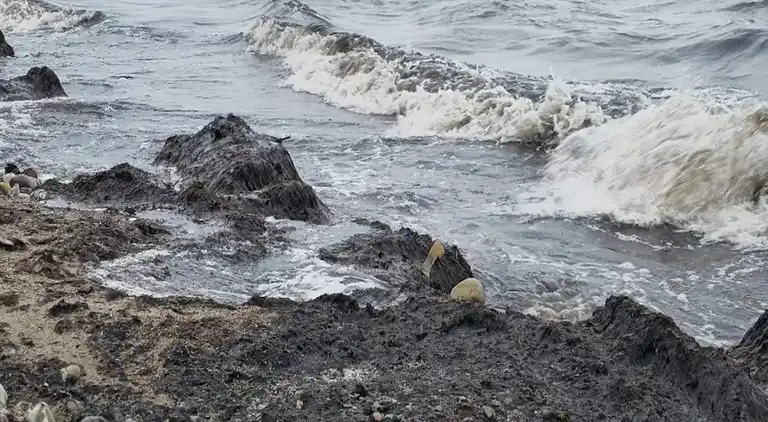 Semesterbostad i Rødby