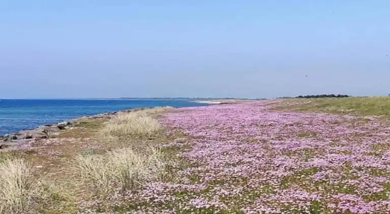 Holiday home in Rødby