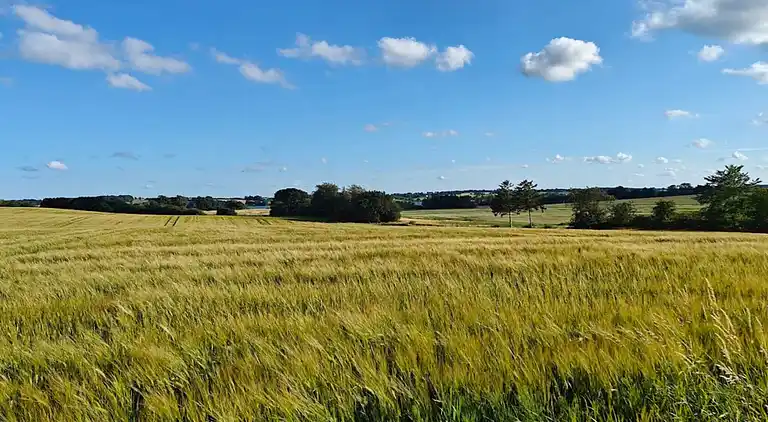 Holiday home in Hejlsminde Strand