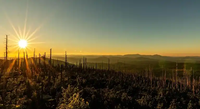 Ferielejlighed i Sonnen