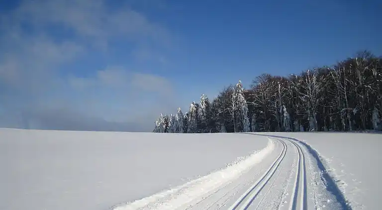 Ferielejlighed i Sonnen