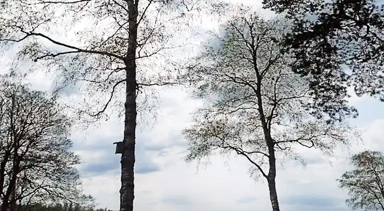 Holiday home in Borås