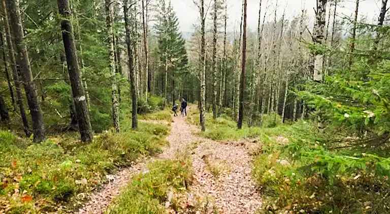 Holiday home in Borås