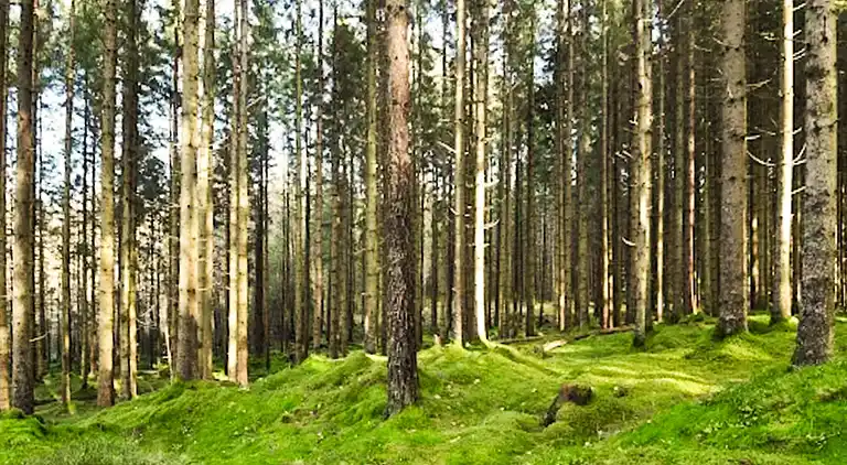 Holiday home in Borås